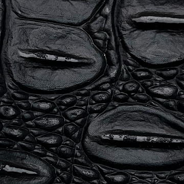 Ebony Croc - WLD31