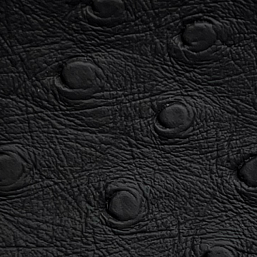 Black Ostrich - OST100