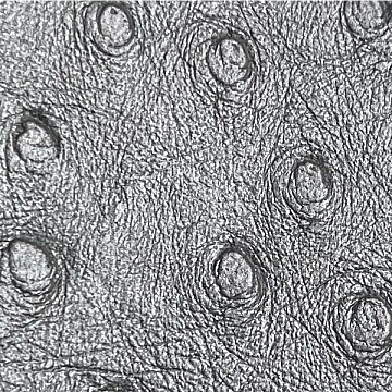 Aluminum Ostrich - PER640