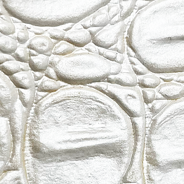 Pearl White Croc - DND988