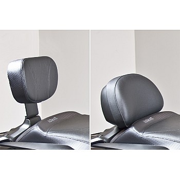 F6B Passenger Backrest Pad and Bracket - Deluxe Model